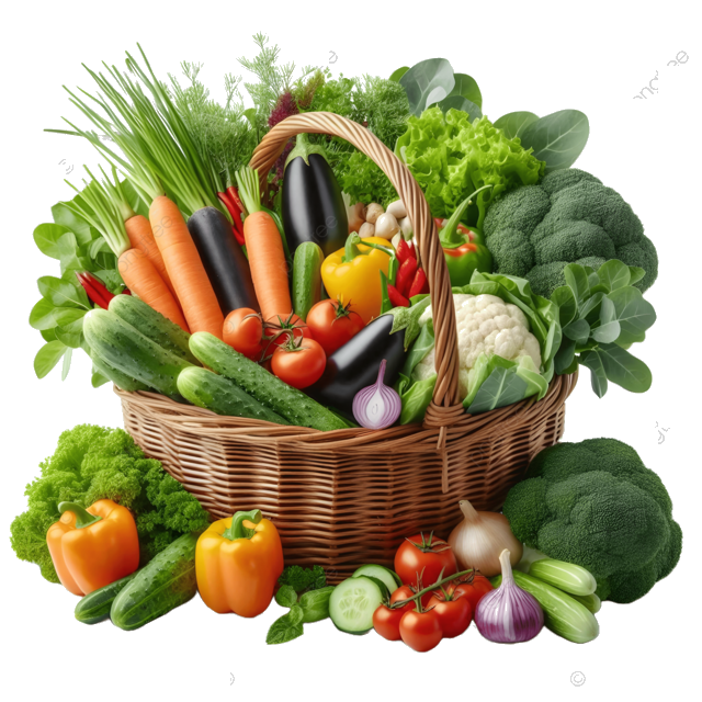Fresh Organic Vegetables